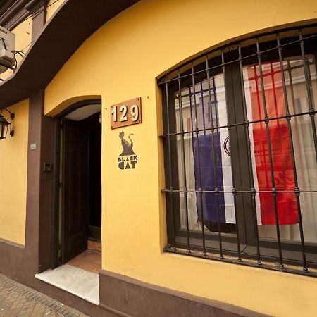 Black Cat Hostel Asunción Exterior photo