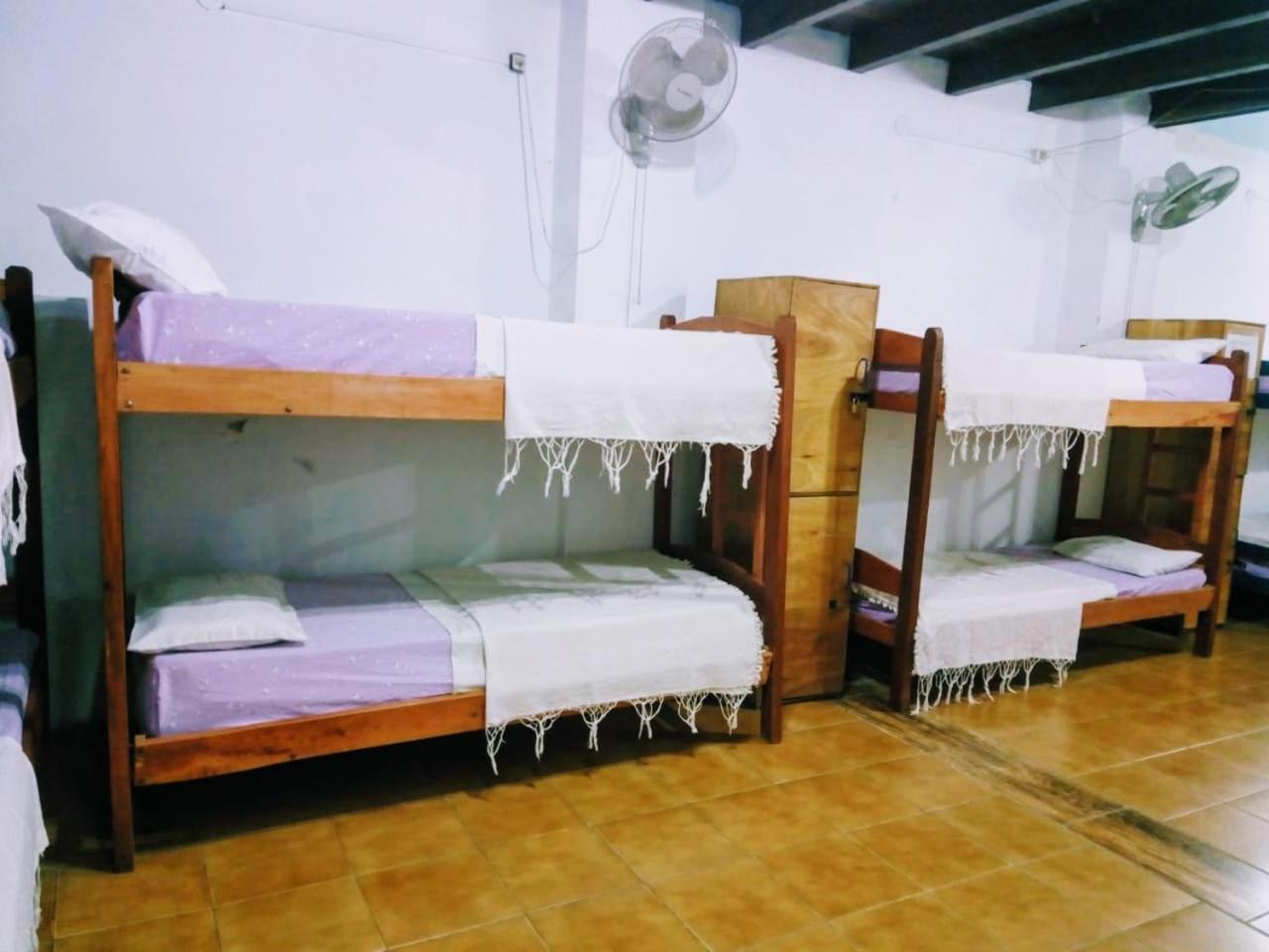 Black Cat Hostel Asunción Exterior photo
